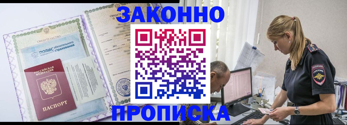 прописка поиск в Шадринске